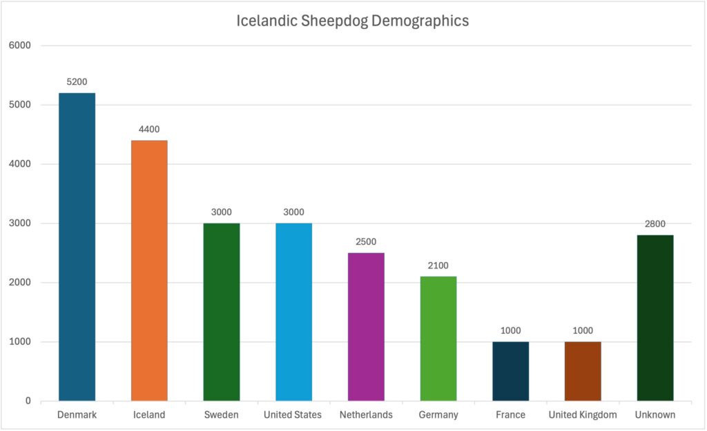 Icelandic Sheepdog Demographics Icelandic Sheepdog Demographics